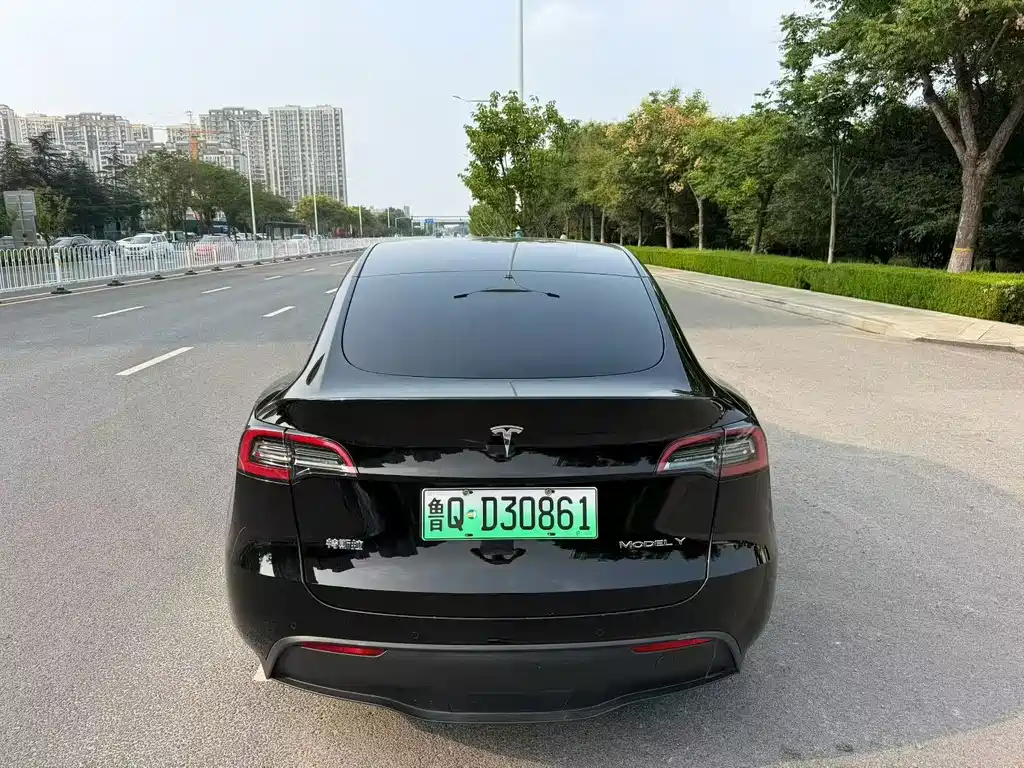 Tesla Model Y — миниатюра 7