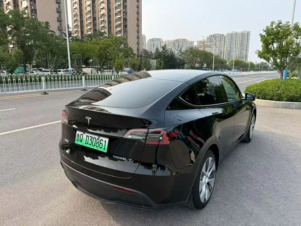 Tesla Model Y — миниатюра 9