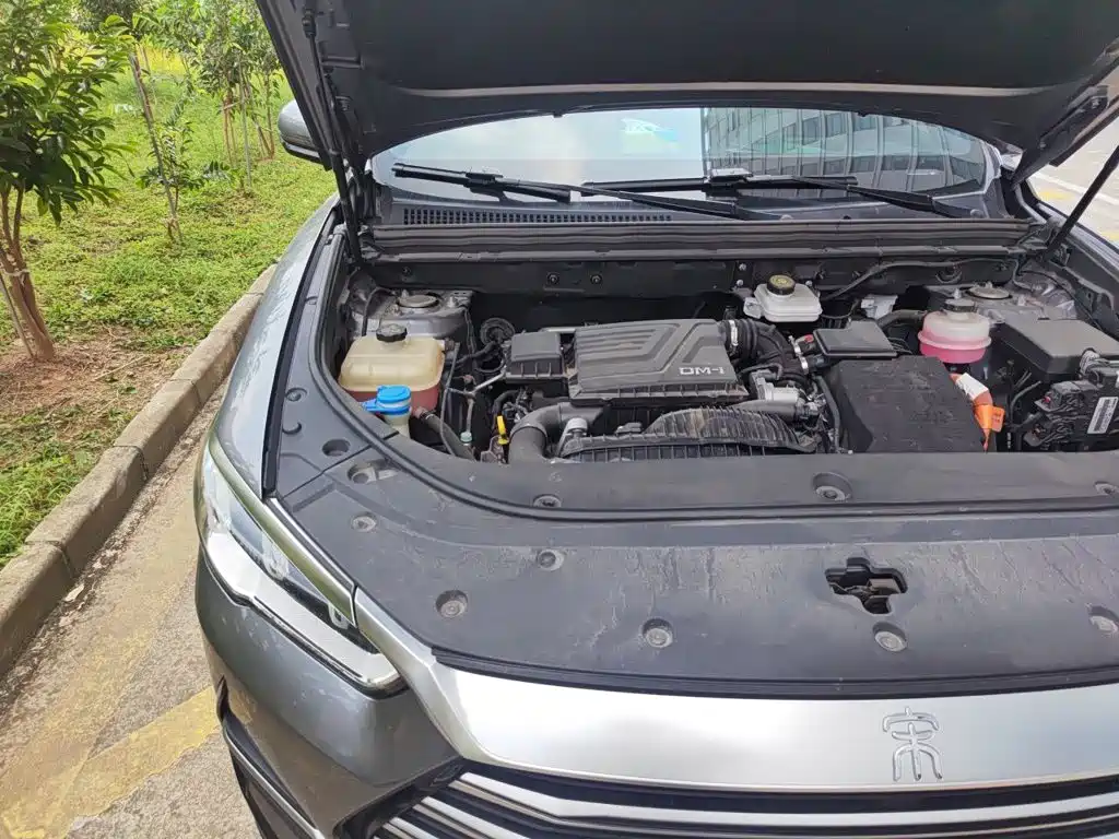 BYD Pro New Energy — миниатюра 21