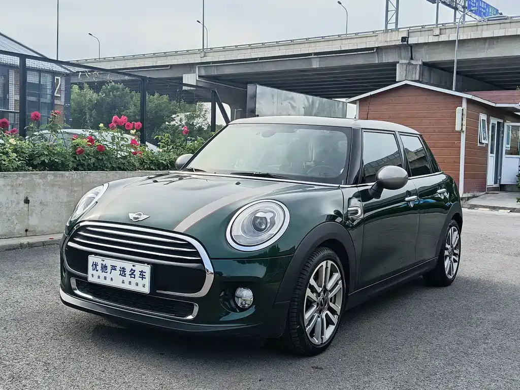 Mini Mini 2017