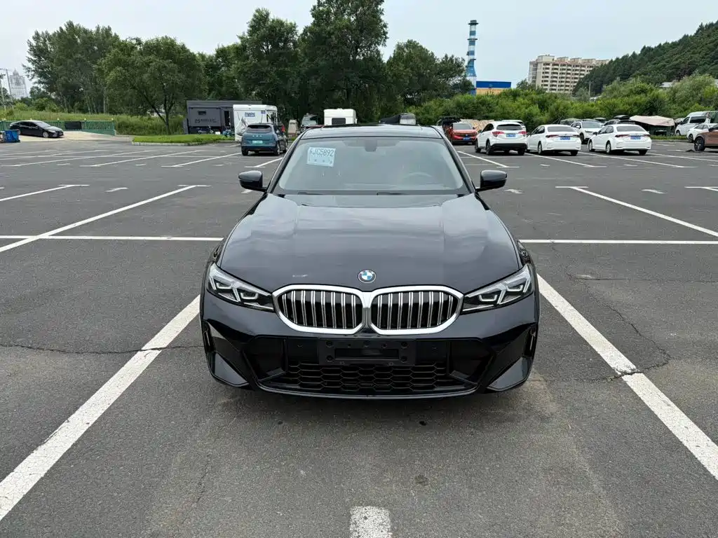 BMW 3 Series — миниатюра 2