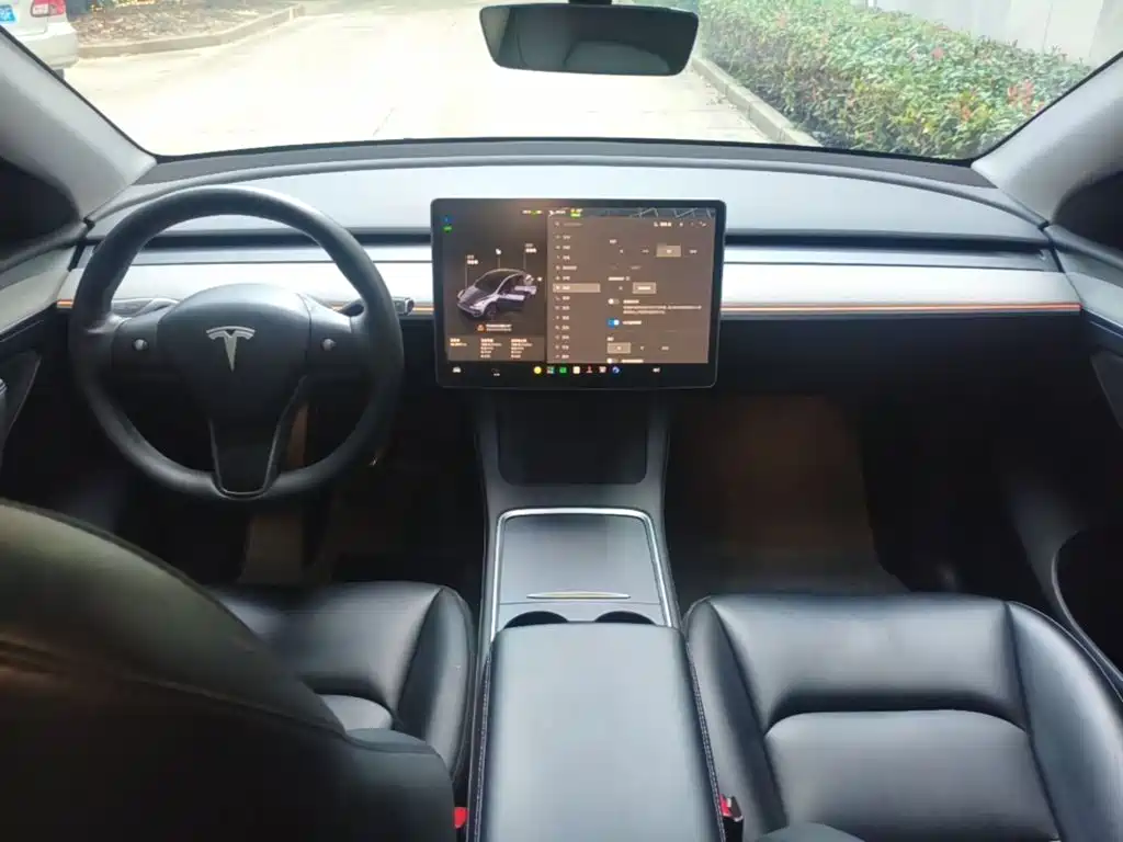 Tesla Model Y — миниатюра 10