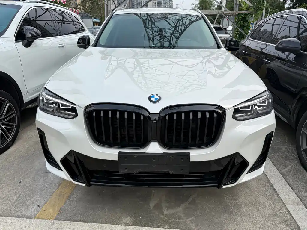 BMW X3 — миниатюра 2