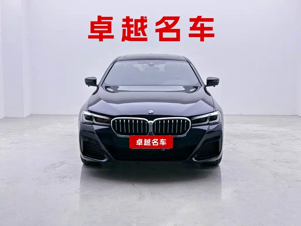 BMW 5 Series — миниатюра 5