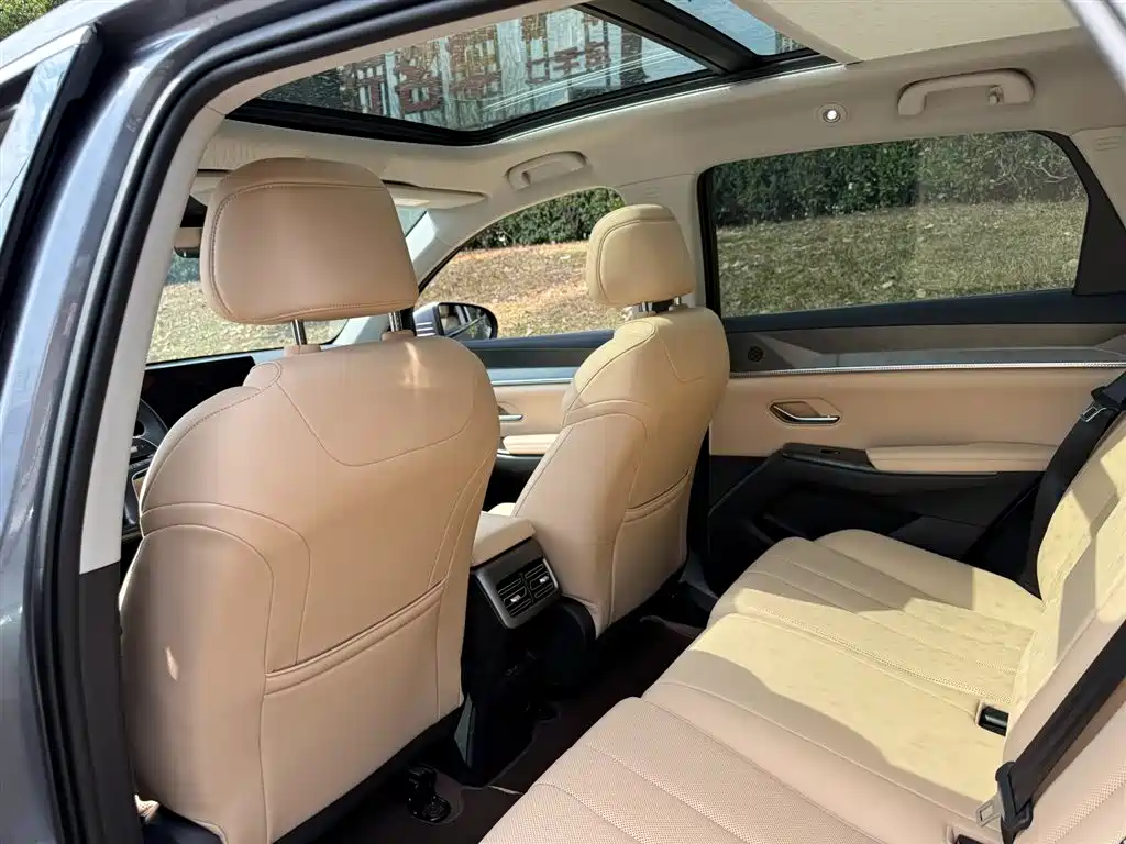 BYD SONGJIANG NEW ENERGY