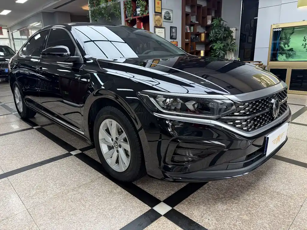 Volkswagen Passat — миниатюра 3