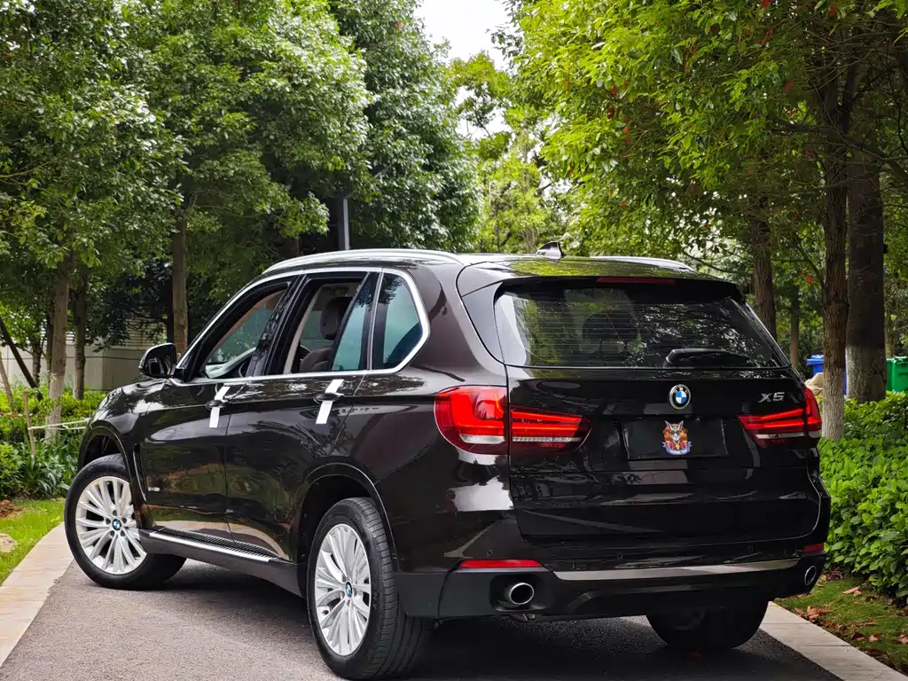 BMW X5 (Import) — миниатюра 6