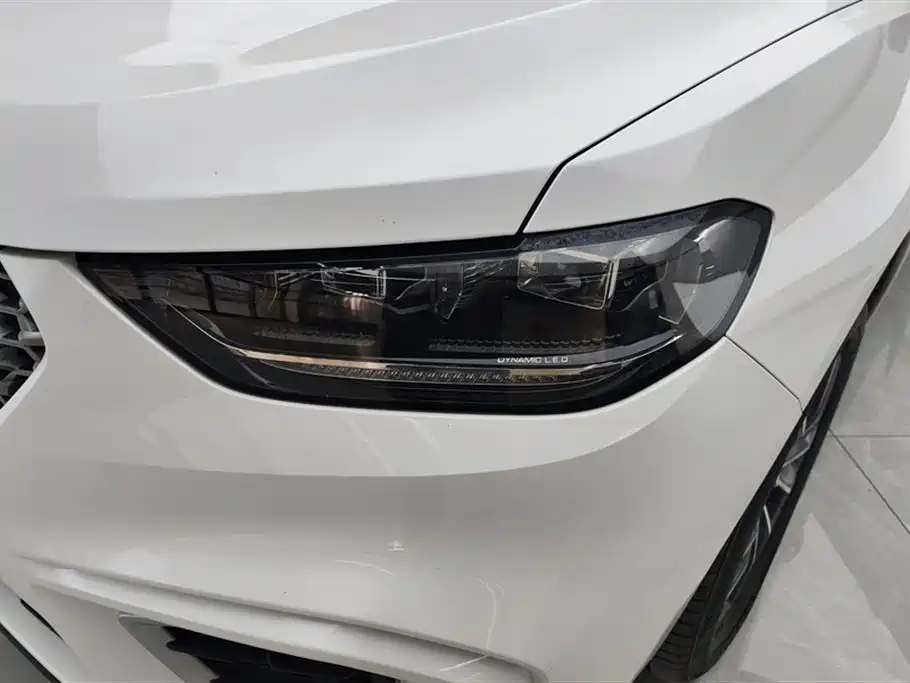 WEI PAI WEI BRAND VV5