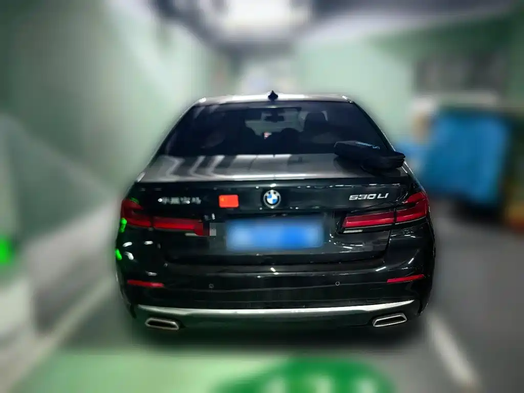BMW 5 Series — миниатюра 5