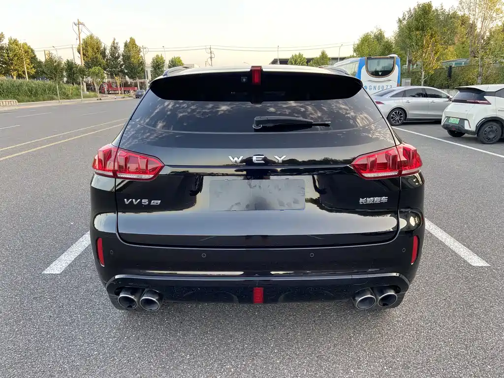 Wey Wey VV5 — миниатюра 5