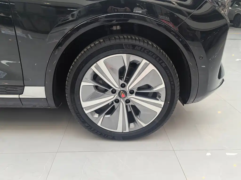 Hongqi E-HS9 2022 690km мест