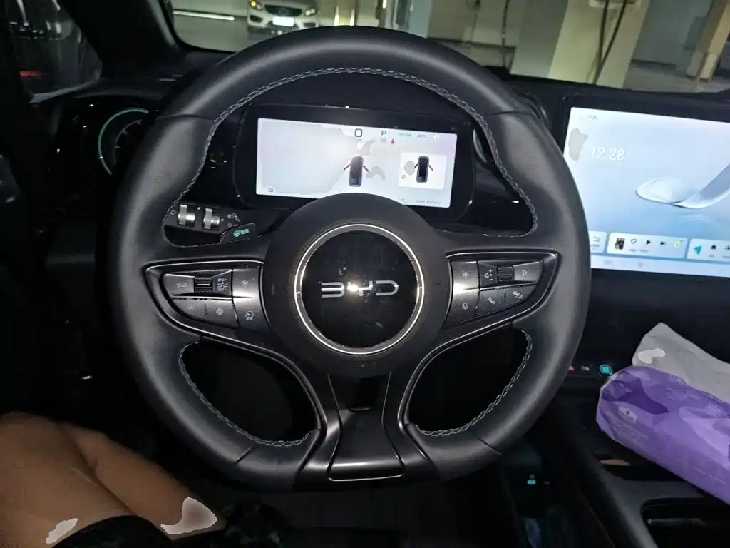 BYD Dolphin — миниатюра 6