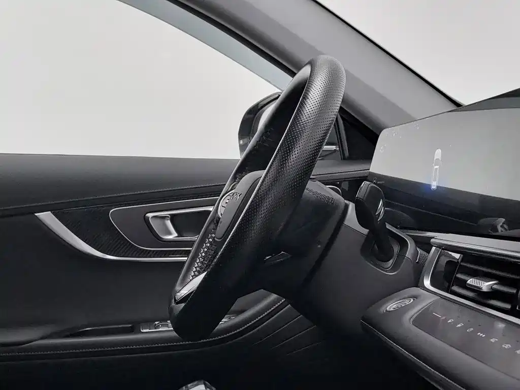 Chery Tiggo 7 PLUS — миниатюра 22