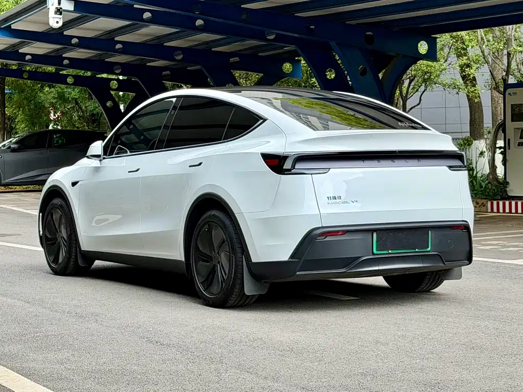Tesla Model Y — миниатюра 5
