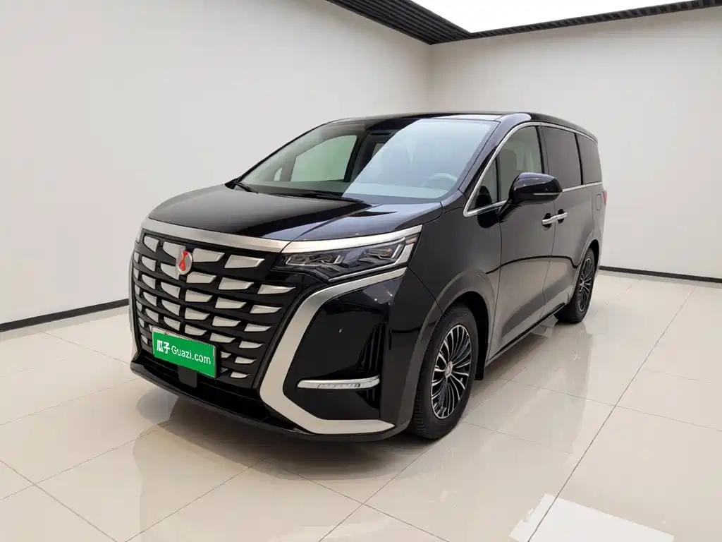 Denza Denza D9