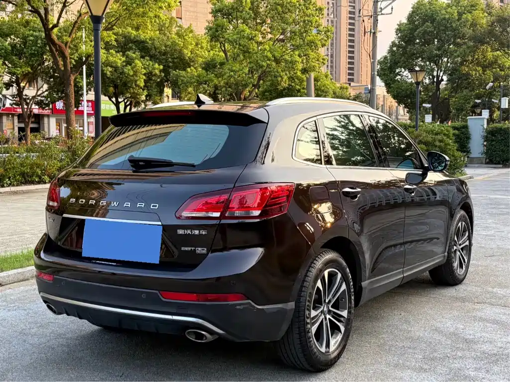 Borgward BX7 — миниатюра 4