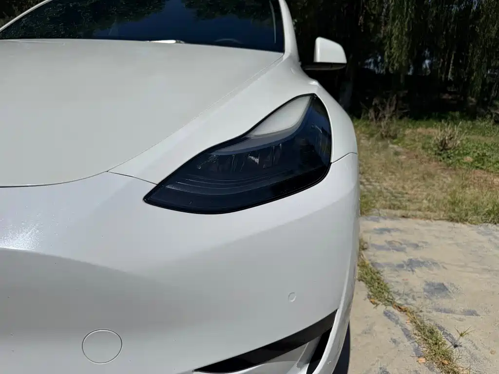 Tesla Model Y — миниатюра 15