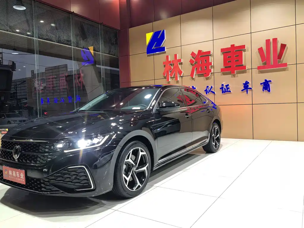 Volkswagen Passat — миниатюра 2