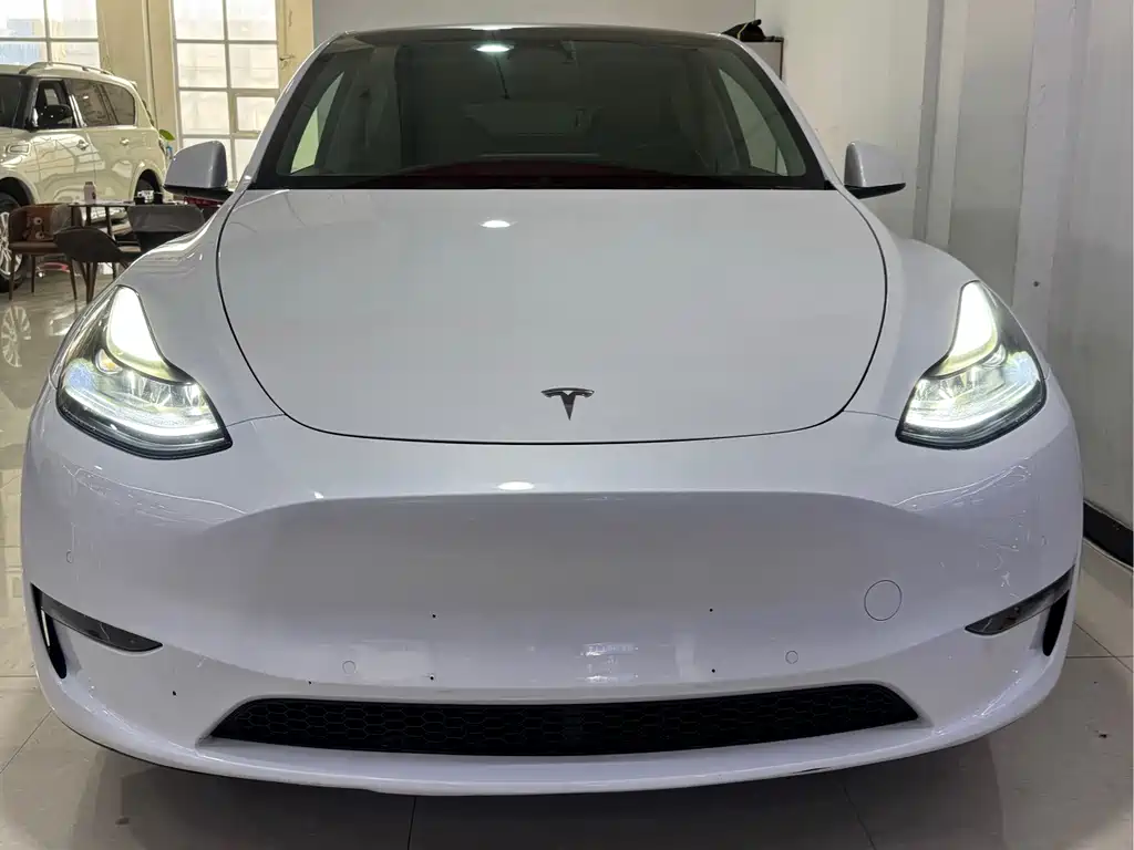 Tesla Model Y — миниатюра 2