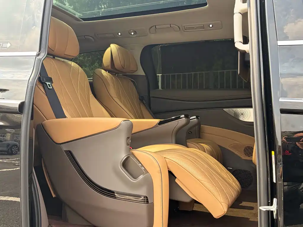 Denza Denza D9 — миниатюра 10