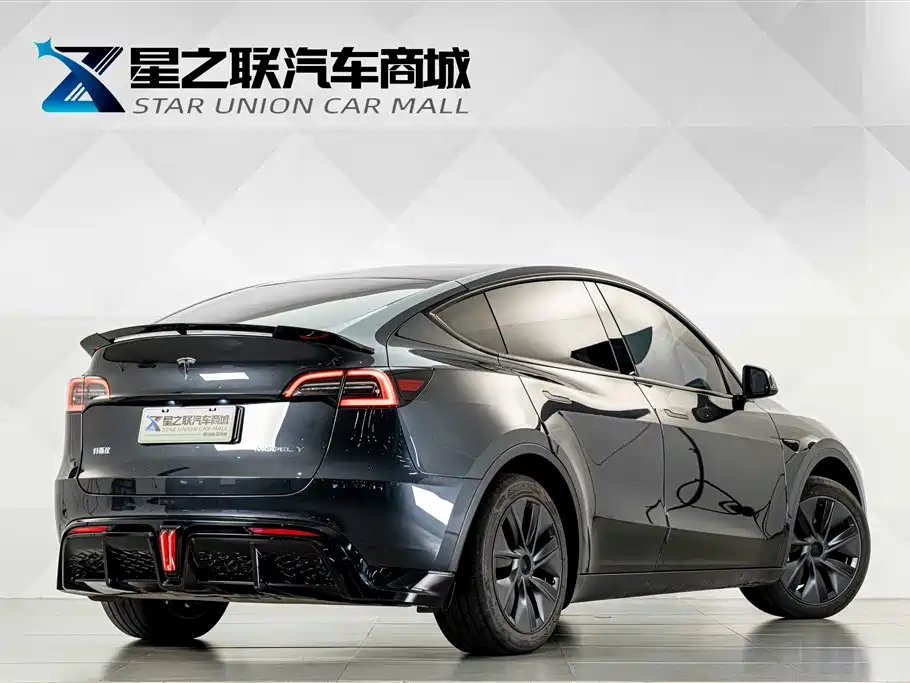 Tesla Model Y — миниатюра 6