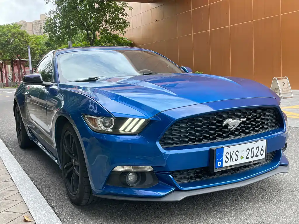 Ford Mustang — миниатюра 3