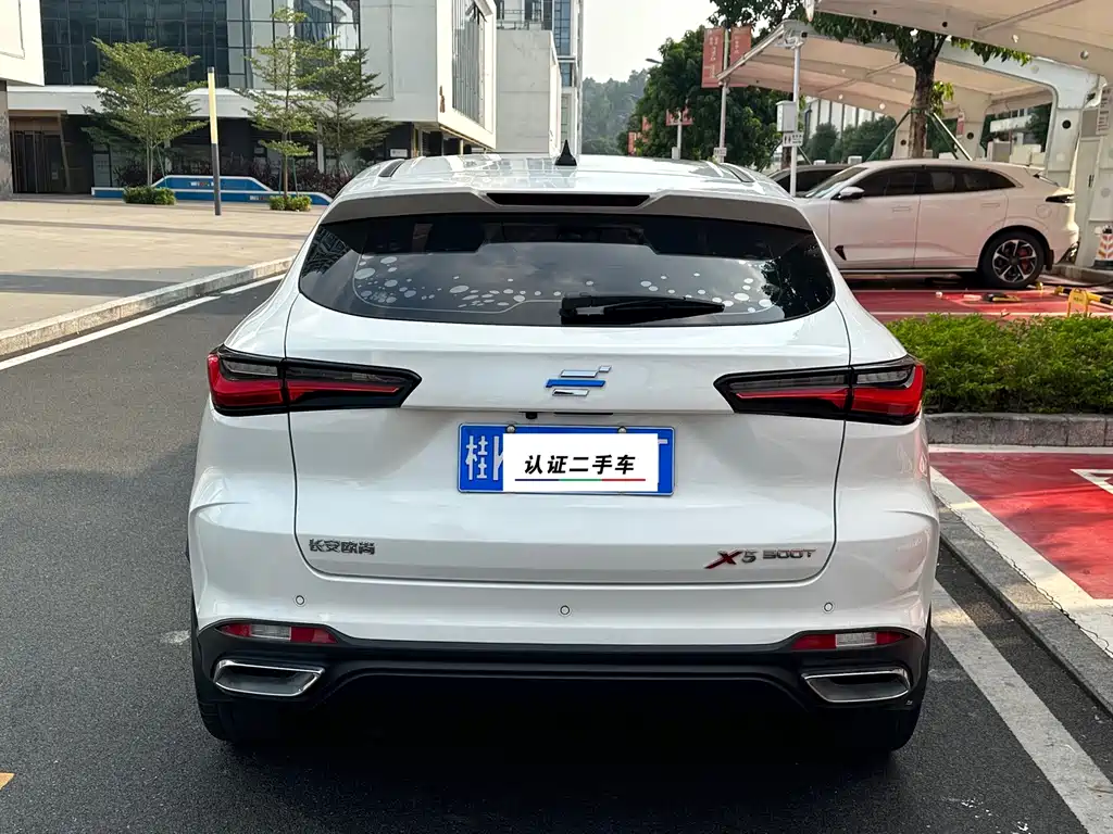Oshan Oushang X5 — миниатюра 3