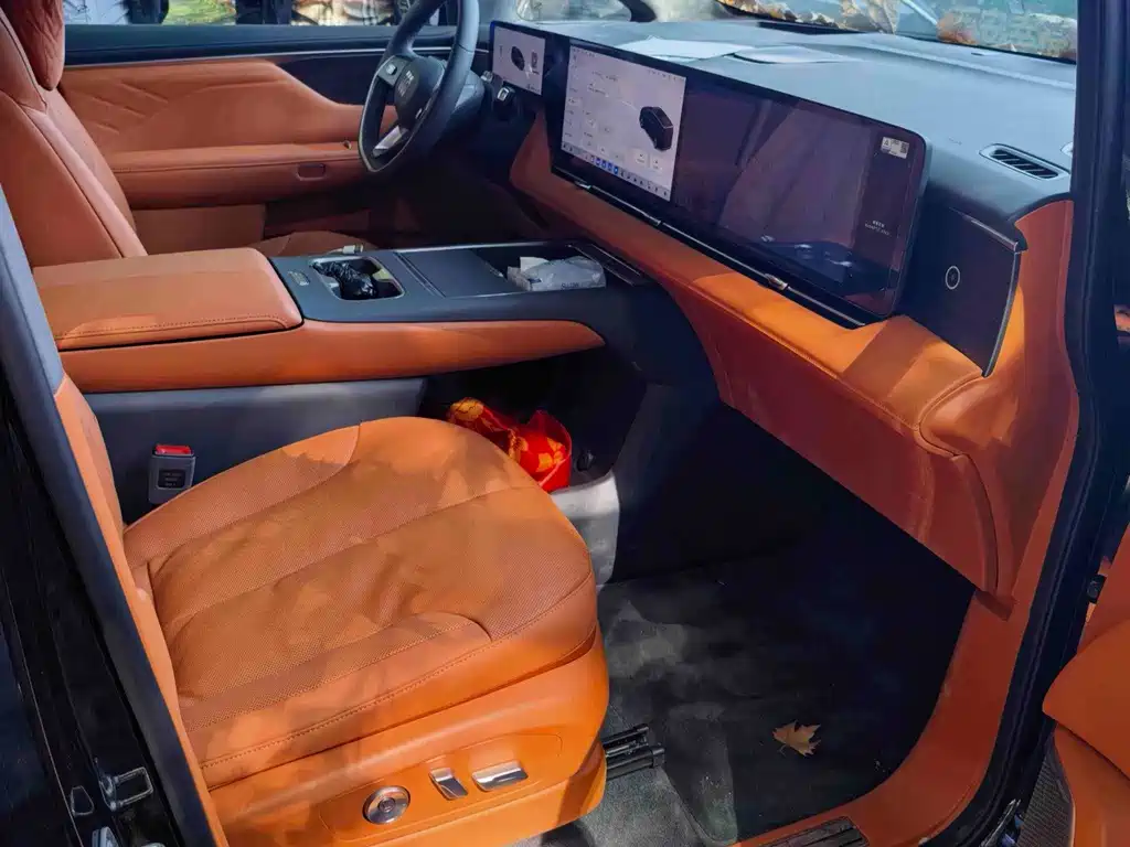 Buick Electra Encasa — миниатюра 2