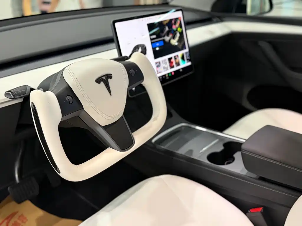 Tesla Model Y — миниатюра 4