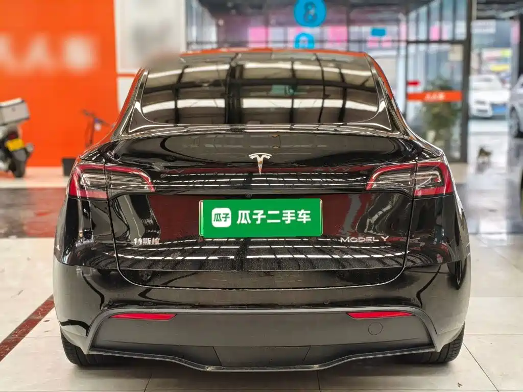 Tesla Model Y — миниатюра 6