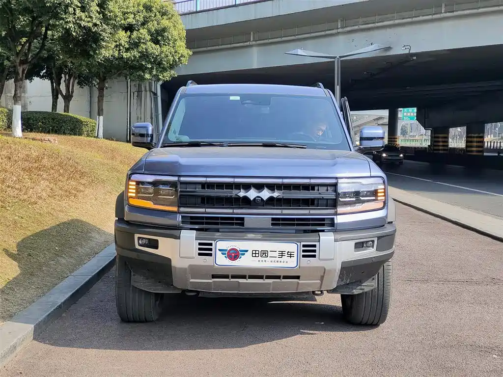 FANG CHENG BAO LEOPARD 5