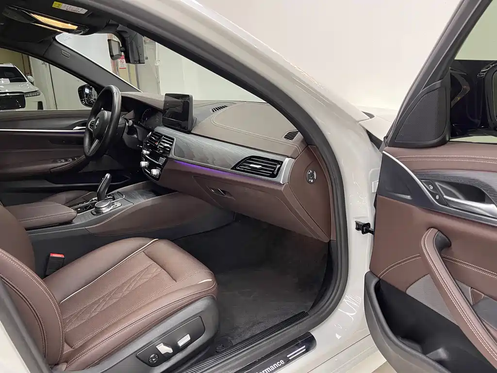 BMW 5 SERIES NEW ENERGY