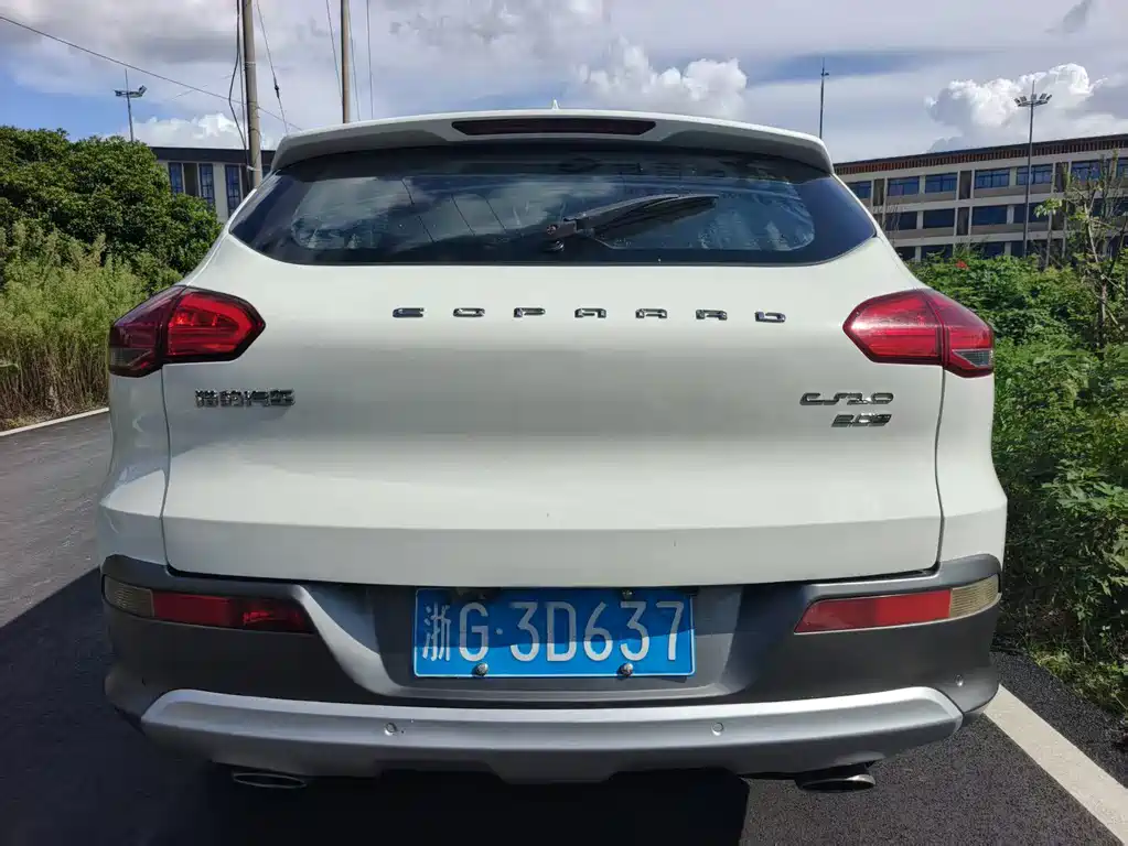 CHEETAH CARS CHEETAH CS10