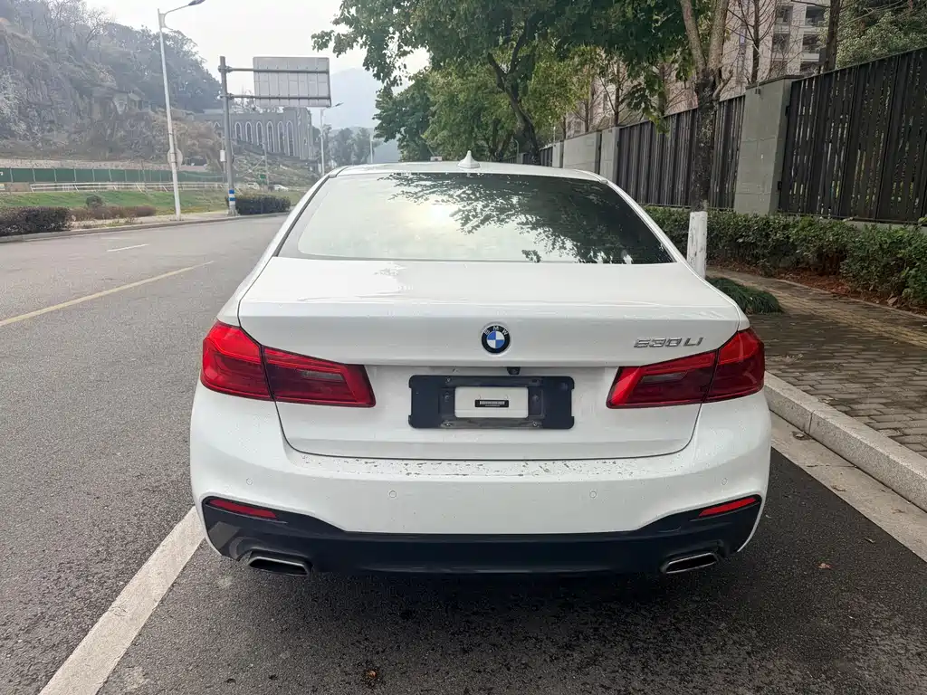 BMW 5 SERIES