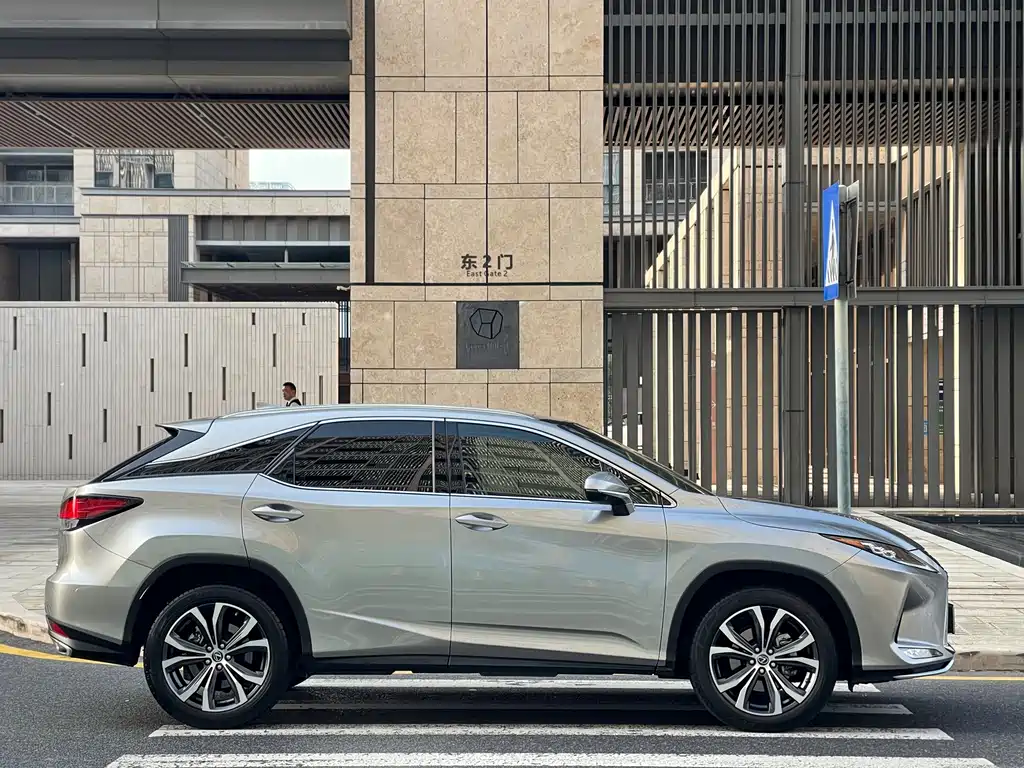 Lexus RX 2020 300 Elegant VI