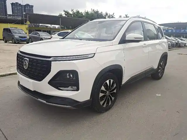 BAOJUN  530