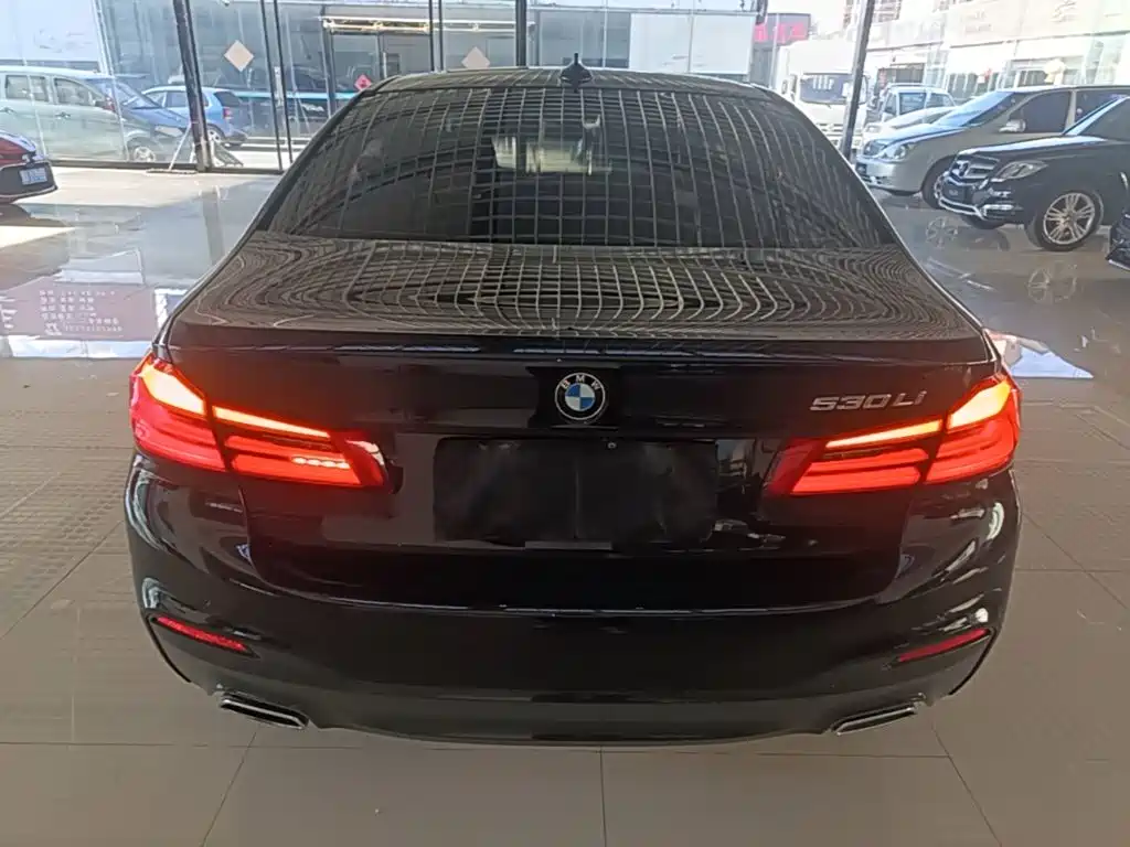 BMW 5 Series — миниатюра 6