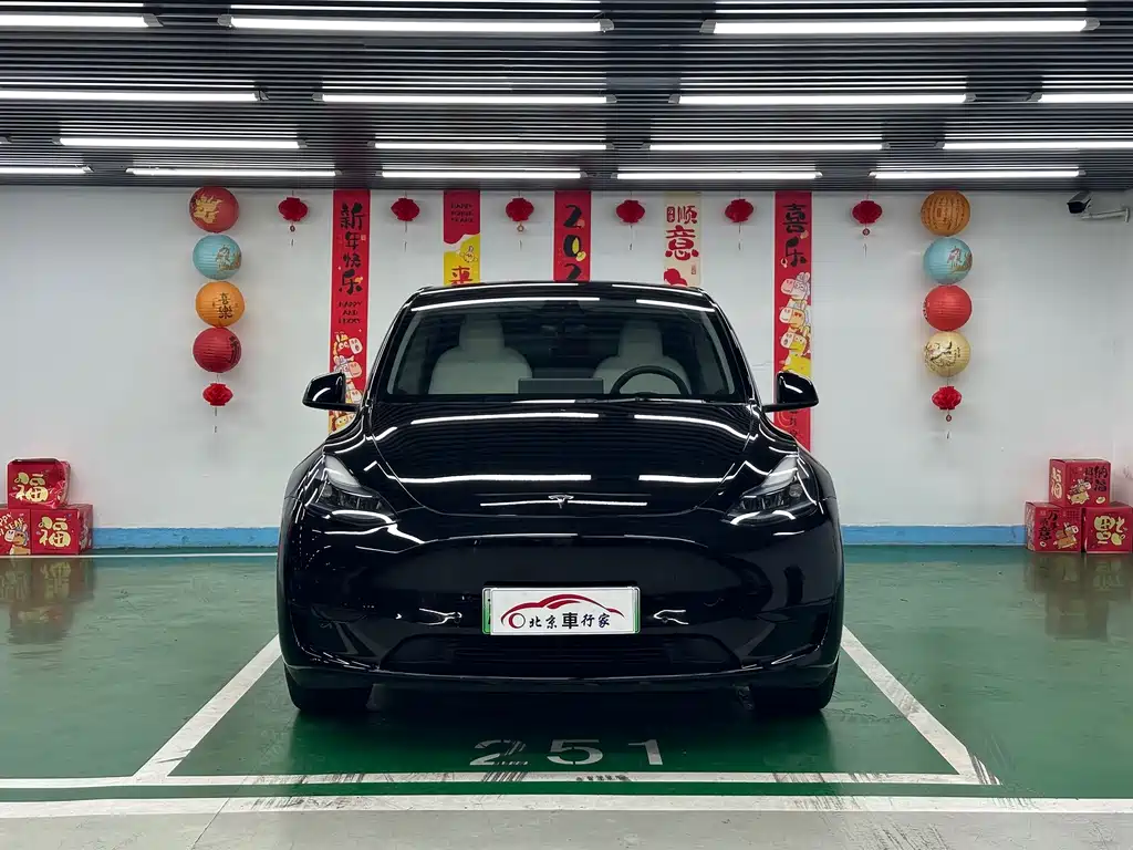 Tesla Model Y — миниатюра 2