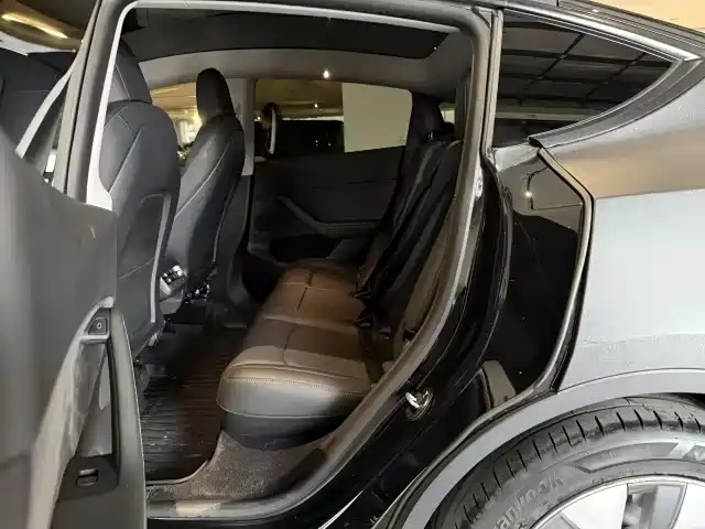 Tesla Model Y — миниатюра 6