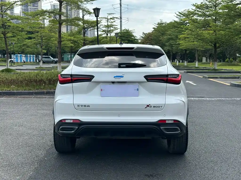 Oshan Oushang X5 — миниатюра 15