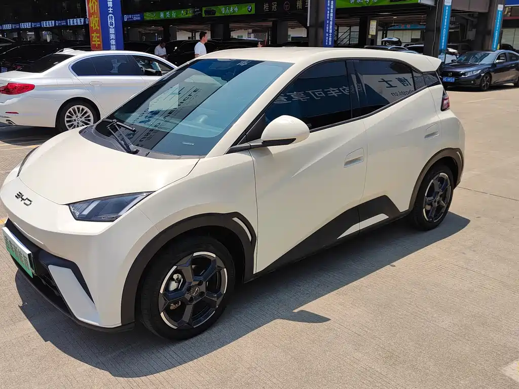 Byd Seagull 2024