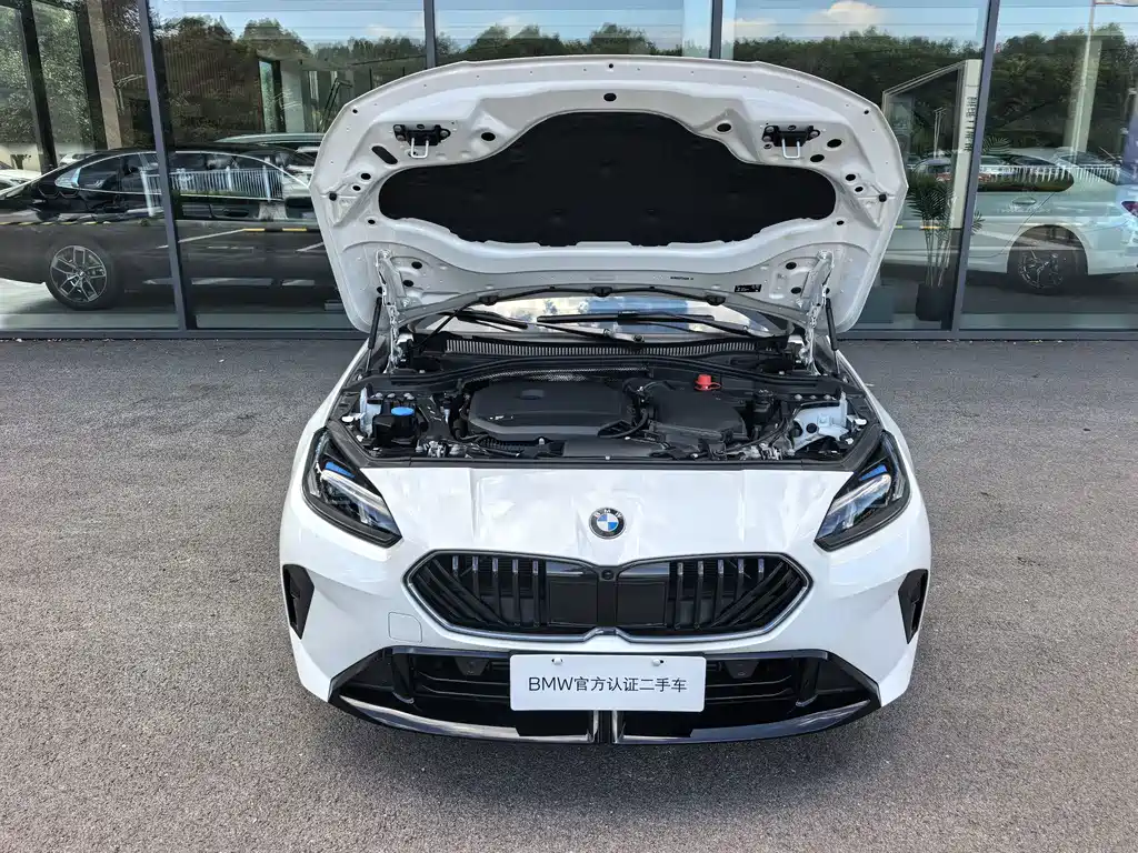 BMW 2 Series — миниатюра 15