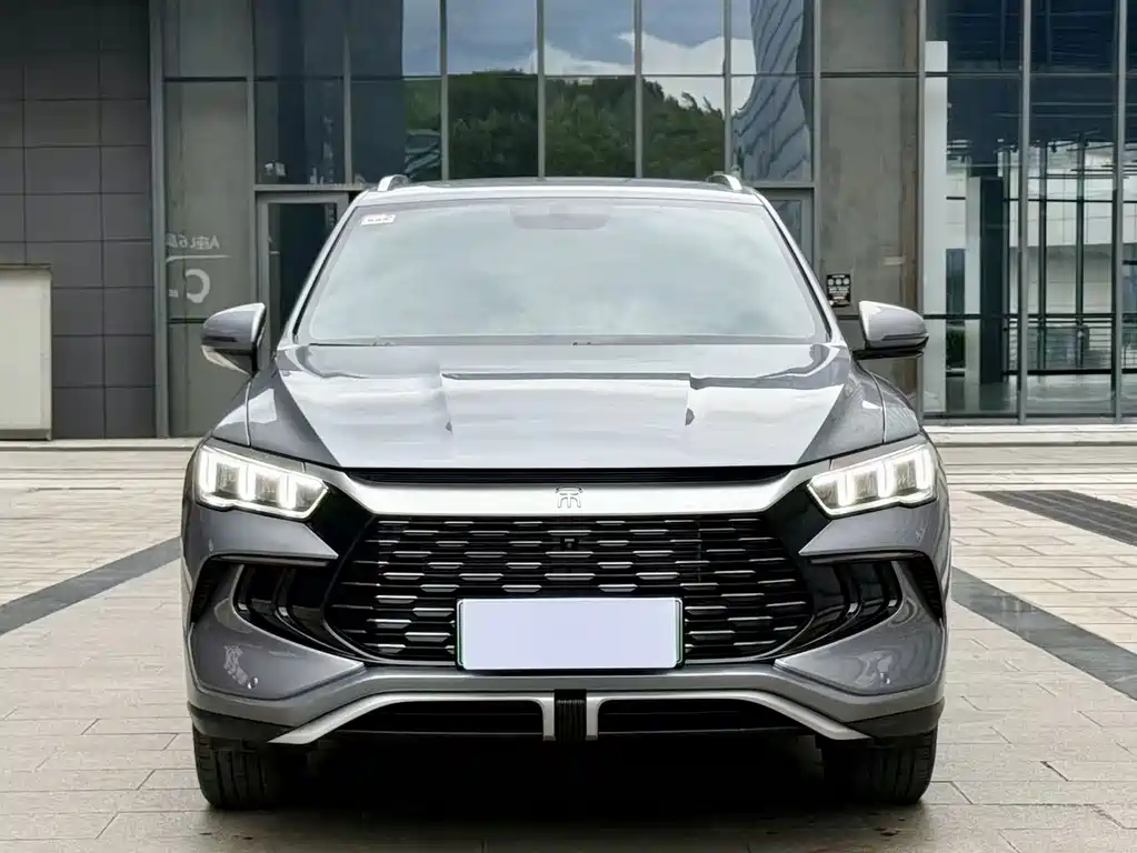 BYD Pro New Energy — миниатюра 2