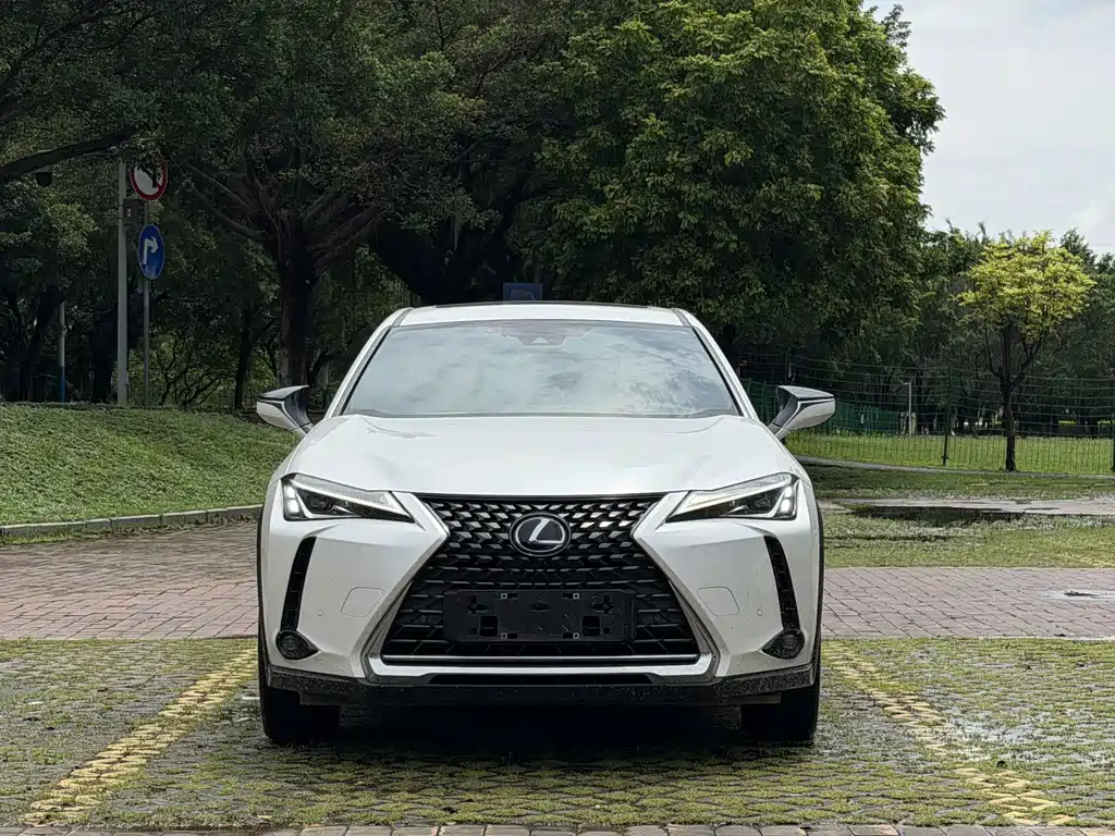 Lexus UX New Energy — миниатюра 2