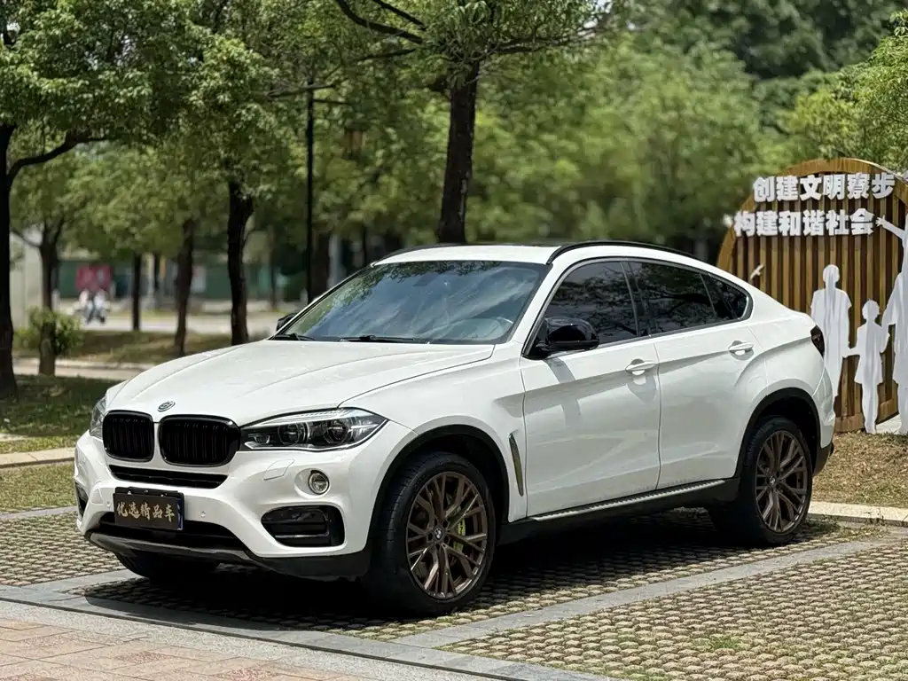 BMW X6 2018