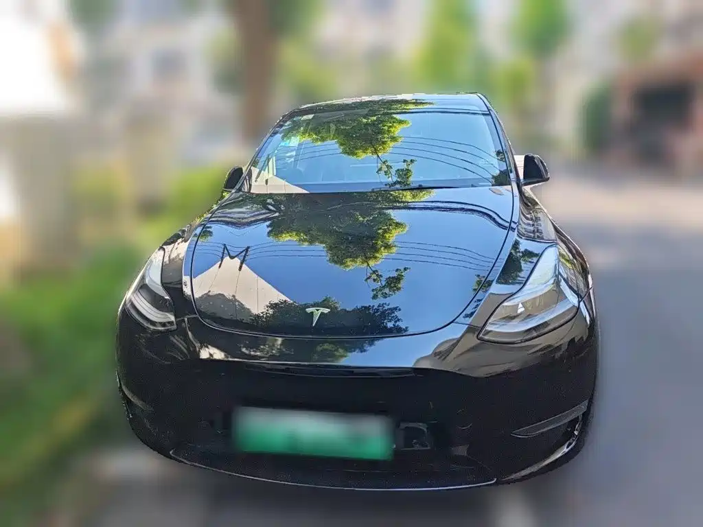Tesla Model Y — миниатюра 2