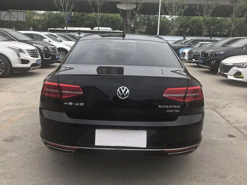 Volkswagen Magotan 330TSI DSG Luxury Type China VI, фото 9