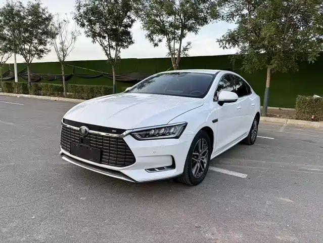 BYD QINHUANGDAO NEW ENERGY 2019