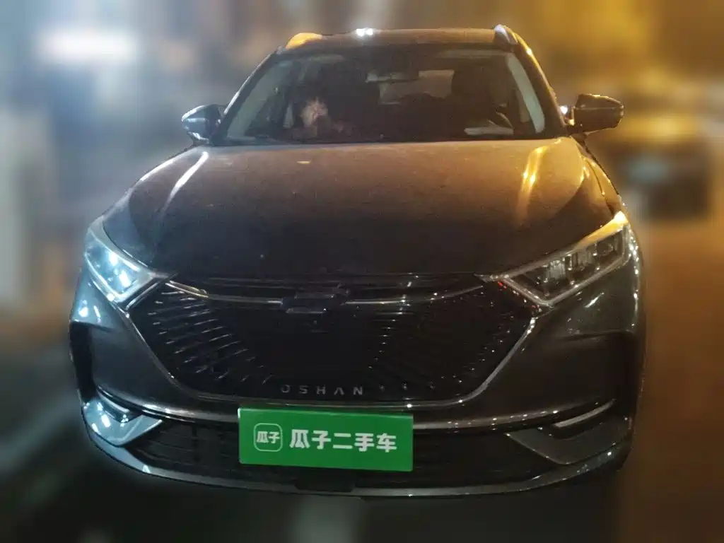 Oshan Oushang X7 — миниатюра 2