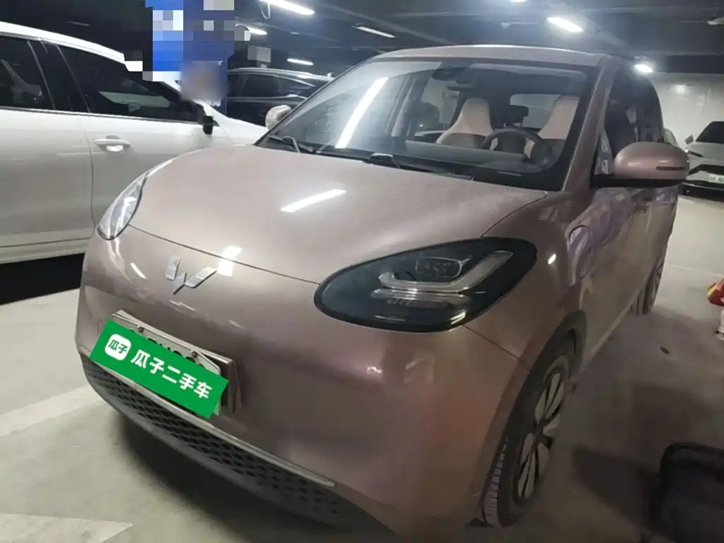 Wuling Bingo